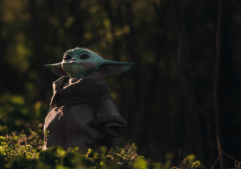 Fortaleza Mental StarWars
